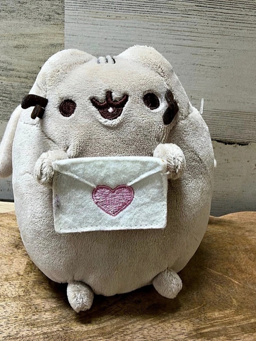 Pusheen Plush Toy with Envelope